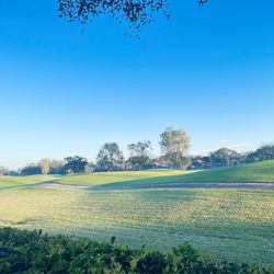 Vineyards Country Club - These next 4 pics show the golf course I overlook each day at The Vineyards Country Club.
