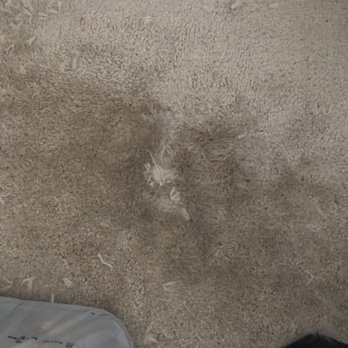 American Carpet and Tile - Before - Carpet Cleaning Near Me - Temple, Texas