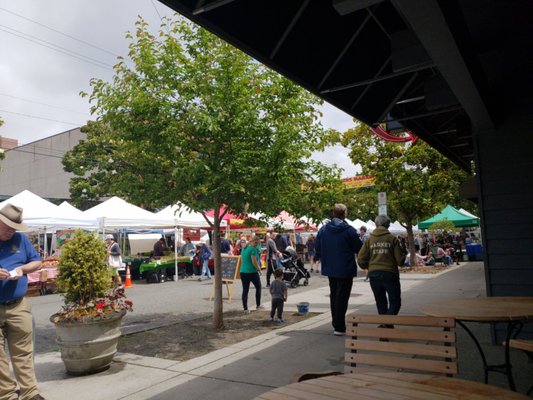 Magnolia Farmers Market by null