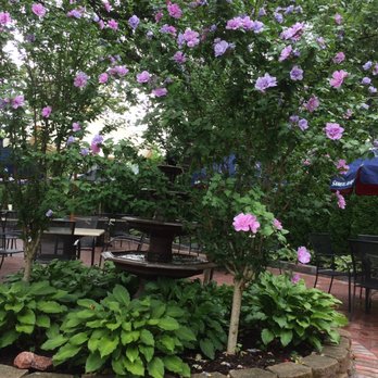 Meson Sabika - Tapas Bars Near Me - Naperville, Illinois Meson Sabika - Tapas Bars Near Me - Naperville, Illinois