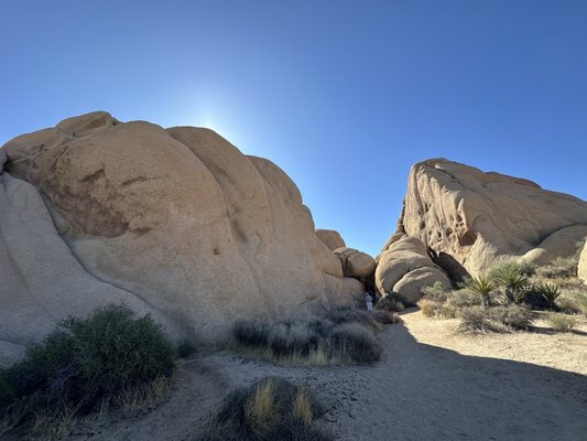 Jumbo Rocks Campground by null