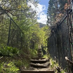 Rocky Mouth Trailhead - Beginning of the hike (60ish steps)