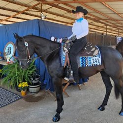 The Circle B Riding Academy