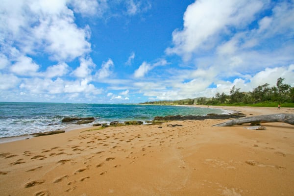 Kauai vacation rental on the Royal Coconut Coast at Wailua Bay, #204 by null