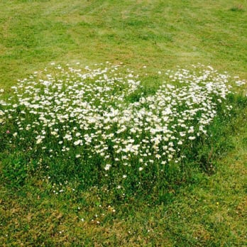 Parc de Bourran - Parks Near Me - Mérignac, 33