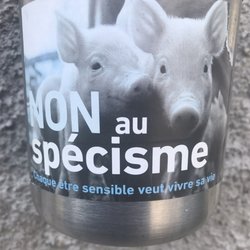 Veganopolis Café - Donations for animals!