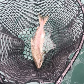Kenai River Float-n-Fish - Fishing Near Me - Cooper Landing, Alaska