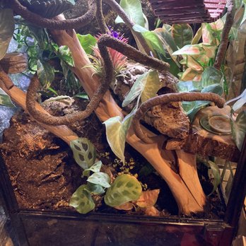 Hammer + Vine - Home Decor Near Me - Portland, Oregon Hammer + Vine - Home Decor Near Me - Portland, Oregon