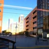 RTD Lincoln Station gift card