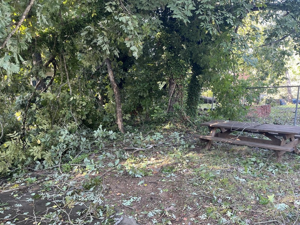 Your Tree Team - tree service in Taylors, SC