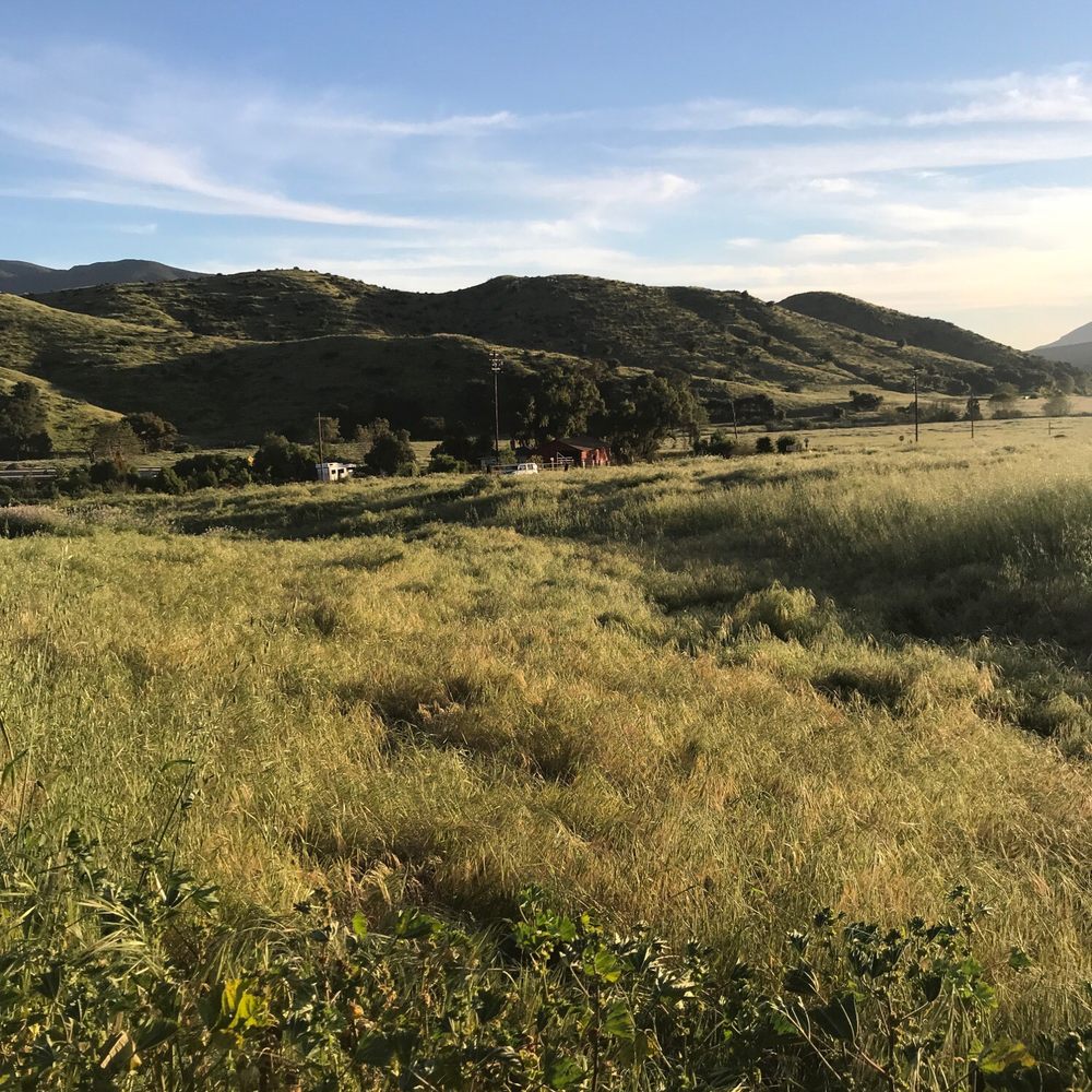 Hollenbeck Canyon Wildlife Area - Hiking Near Me - Jamul, California