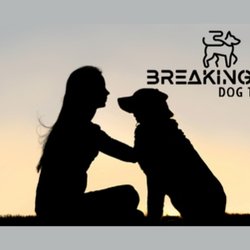 Breaking Bad Dog Training