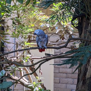 Sequoia Park Zoo - Zoos Near Me - Eureka, California Sequoia Park Zoo - Zoos Near Me - Eureka, California