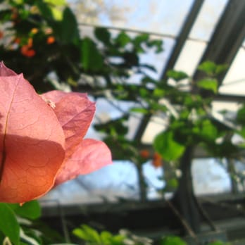 Allan Gardens - Parks Near Me - Toronto, Ontario Allan Gardens - Parks Near Me - Toronto, Ontario