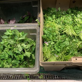 Saigon Market - Lots of fresh veggies - International Grocery Near Me - Lawndale, California Saigon Market - Lots of fresh veggies - International Grocery Near Me - Lawndale, California