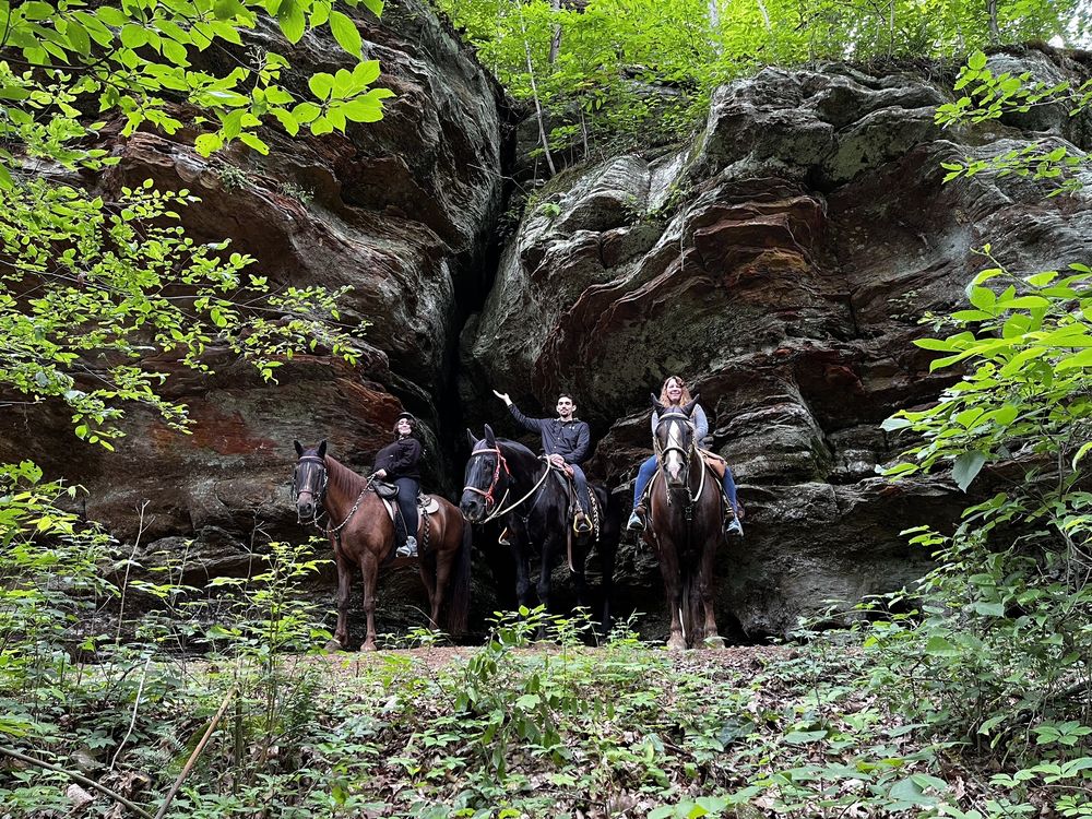 Blue Moon Acres - equestrian in Laurelville, OH