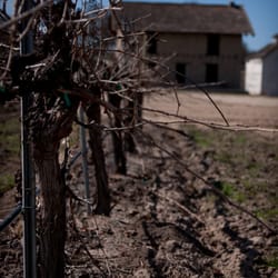 Clayhouse Wines - This 150 year Adobe give the name of Clayhouse Wines