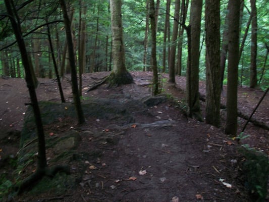 Moss Glen Falls by null