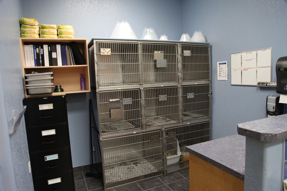 clearview dog and cat hospital red deer