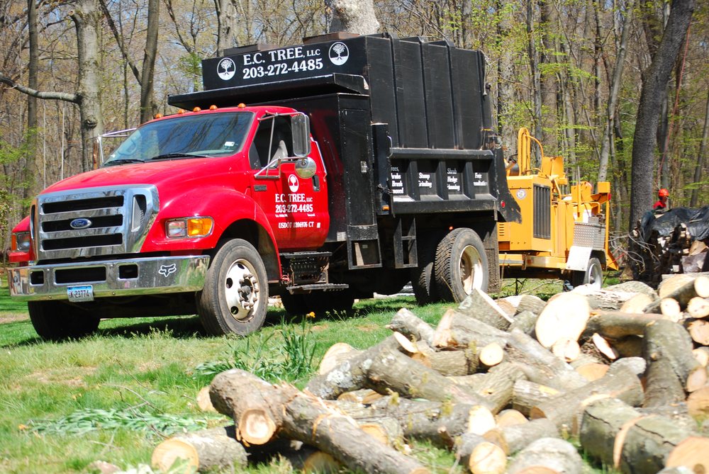 E C Tree - tree service in Cheshire, CT