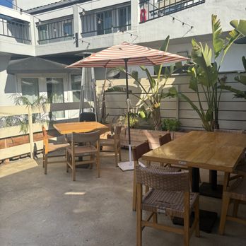 Puntamar - Seafood Near Me - Encinitas, California