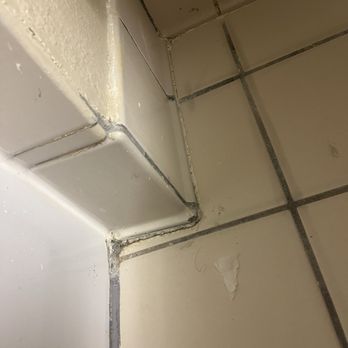 DoubleTree by Hilton - Disgusting bathroom tiles - Hotels Near Me - Orlando, Florida