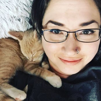 The Catcade - The day I fell in love with a tabby and our house grew by 2 fur-babies. - Animal Shelters Near Me - Chicago, Illinois The Catcade - The day I fell in love with a tabby and our house grew by 2 fur-babies. - Animal Shelters Near Me - Chicago, Illinois