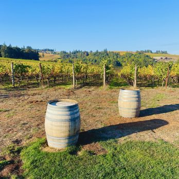 Main Street Drivers - Wineries in Willamette Valley, OR - Wine Tours Near Me - Penn Yan, New York
