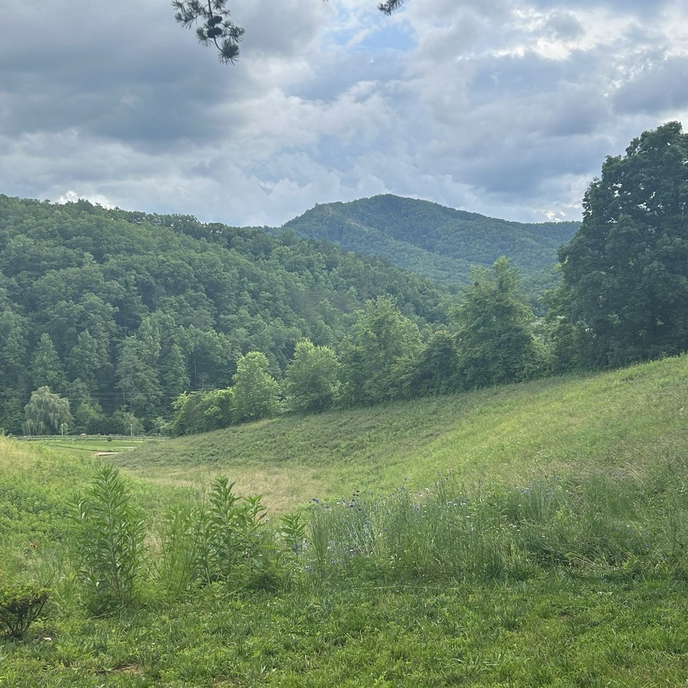 Honeysuckle Hills - Wedding Planning Near Me - Pigeon Forge, Tennessee Honeysuckle Hills - Wedding Planning Near Me - Pigeon Forge, Tennessee