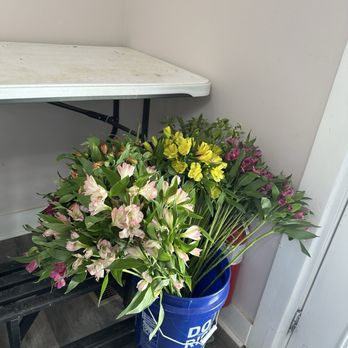 Victoria Park Florist - Florists Near Me - Chapel Hill, North Carolina Victoria Park Florist - Florists Near Me - Chapel Hill, North Carolina