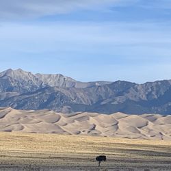 Great Sand Dunes Lodge - More view