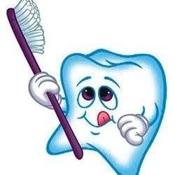 Mayer Craig A DDS