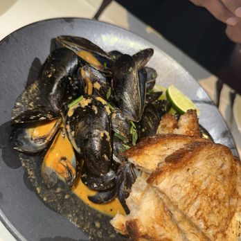 Harvest - Mussels - New American Near Me - Cambridge, Massachusetts Harvest - Mussels - New American Near Me - Cambridge, Massachusetts
