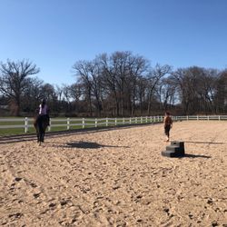 Seven J's Farm