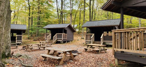 Harriman State Park by null