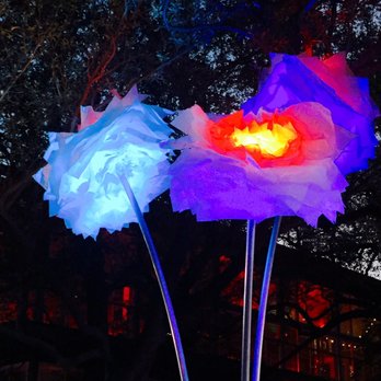 Discovery Green - Parks Near Me - Houston, Texas