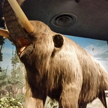 RMSC Museum & Science Center - I've been meaning to speak with you about your snoring at night.... - Museums Near Me - Rochester, New York RMSC Museum & Science Center - I've been meaning to speak with you about your snoring at night.... - Museums Near Me - Rochester, New York