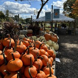Langwater Farm - Pumpkins and hay ride tickets!