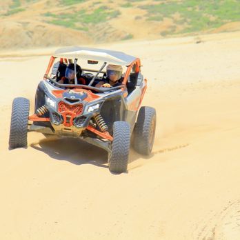 Cactus Tours - Tours Near Me - Cabo San Lucas, BCS