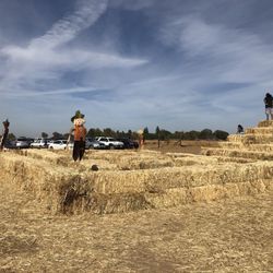 Gibson Ranch Pumpkin Festival - A maze...yay?