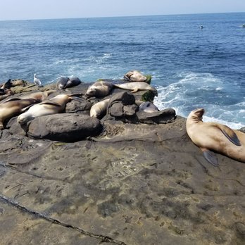 La Jolla Cove - Parks Near Me - La Jolla, California La Jolla Cove - Parks Near Me - La Jolla, California