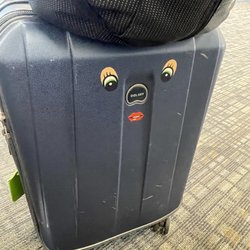 Air Canada Express - Friendly little suitcase