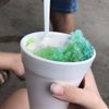 Bonkey's Ice Cream & Snoballs gift card