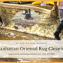 Manhattan Oriental Rug Cleaning