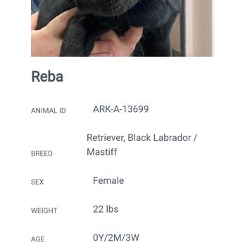 Animal Ark Rescue - Animal Shelters Near Me - Columbus, Georgia Animal Ark Rescue - Animal Shelters Near Me - Columbus, Georgia