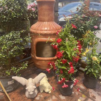 Green Thumb Nursery - Nurseries & Gardening Near Me - Tampa, Florida Green Thumb Nursery - Nurseries & Gardening Near Me - Tampa, Florida