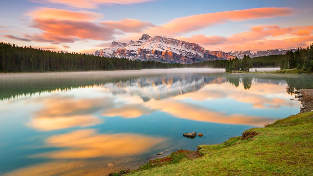 Bravee Behavioral Holistic Health - grief counselor in Rockville, MD