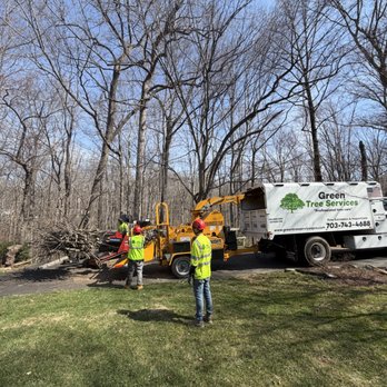 Green Tree Services - Need a dangerous or unwanted tree removed? Our experienced crew at Green Tree Services provides safe, efficient, and affordable tree remo - Tree Services Near Me - Warrenton, Virginia Green Tree Services - Need a dangerous or unwanted tree removed? Our experienced crew at Green Tree Services provides safe, efficient, and affordable tree remo - Tree Services Near Me - Warrenton, Virginia