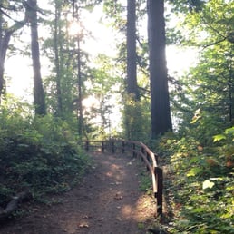 The path from the yurt to the park. The path from the yurt to the park.