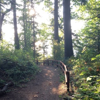 Kayak Point County Park - The path from the yurt to the park. - Parks Near Me - Stanwood, Washington Kayak Point County Park - The path from the yurt to the park. - Parks Near Me - Stanwood, Washington